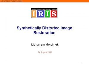Synthetically Distorted Image Restoration Muharrem Mercimek 24 August