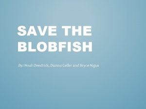 Save the blobfish