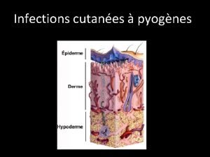 Infections cutanes pyognes Un peu de smantique Les