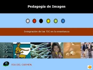 Esquemas motivados