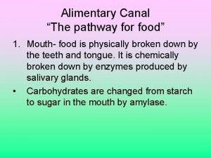 Alimentary canal pathway