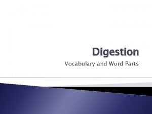 Digestion vocabulary