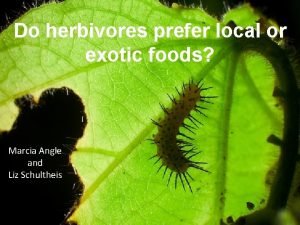 Do herbivores prefer local or exotic foods Marcia