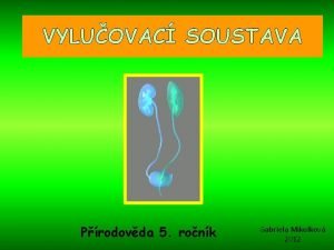 VYLUOVAC SOUSTAVA Prodovda 5 ronk Gabriela Mikulkov 2012