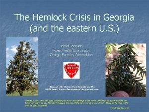 The Hemlock Crisis in Georgia and the eastern