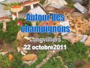 1 De lintrt des champignons Un monde part