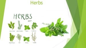 Herbs The magical power of Yarrow is used