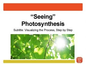 Steps in photosynthesis