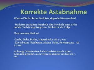 Korrekte Astabnahme Warum Drfen keine Starkste abgeschnitten werden