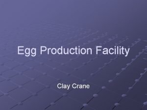 Egg Production Facility Clay Crane Why Egg Production