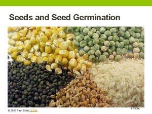 Seeds and Seed Germination 2016 Paul Billiet ODWS