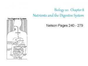Chapter 8 the digestive system