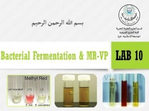 Fermentation in bacteria
