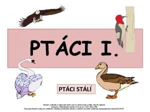 PTCI I PTCI STL Autorem materilu a vech