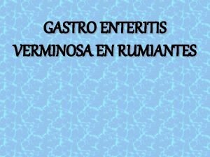 GASTRO ENTERITIS VERMINOSA EN RUMIANTES GNERO Haemonchus H