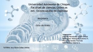 Universidad Autnoma de Chiapas Facultad de ciencias Qumicas