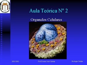 Aula Terica N 2 Organelos Celulares 20012002 Prof