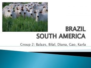 BRAZIL SOUTH AMERICA Group 2 Balazs Bilal Diana