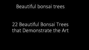 Beautiful bonsai trees