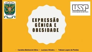 EXPRESSO GNICA E OBESIDADE Caroline Bertoncini Silva Luciana