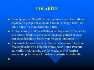 POLARTE n n Bilindii gibi mltiselller bir organizma