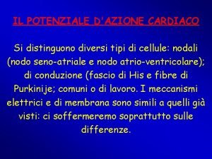 IL POTENZIALE DAZIONE CARDIACO Si distinguono diversi tipi