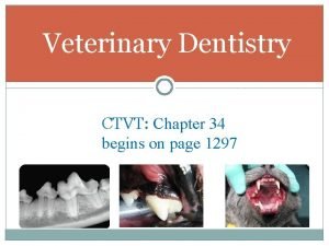 Icpm teeth