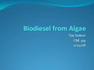 Biodiesel