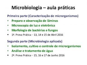 Microbiologia aula prticas Primeira parte Caracterizao de microrganismos