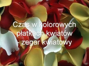 Czas w kolorowych patkach kwiatw zegar kwiatowy Zegary