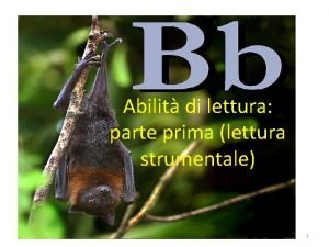 Abilit di lettura parte prima lettura strumentale 1