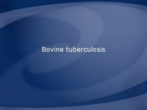 Bovine tuberculosis Overview Organism History Epidemiology Transmission Disease