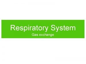 Respiratory system pictures