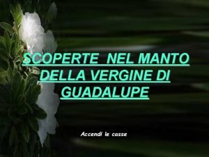 SCOPERTE NEL MANTO DELLA VERGINE DI GUADALUPE Accendi