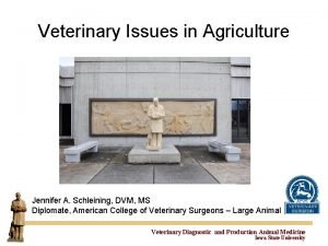 Veterinary Issues in Agriculture Jennifer A Schleining DVM