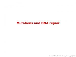 Mutations and DNA repair Pierce GENETICA Zanichelli editore