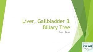Liver Gallbladder Biliary Tree Ryan Gutsoc Overview Liver