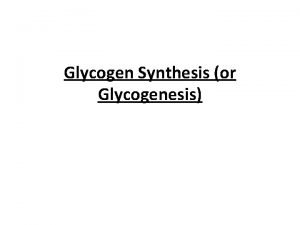 Glycogen synthesis