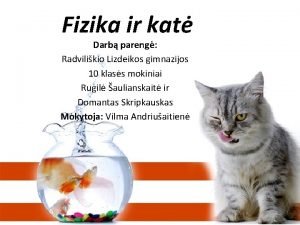 Fizika ir kat Darb pareng Radvilikio Lizdeikos gimnazijos