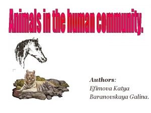 Authors Efimova Katya Baranovskaya Galina History v Throughout