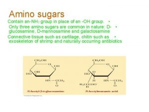 Amino sugars Contain anNH 2 group in place