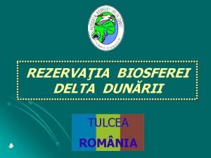 REZERVAIA BIOSFEREI DELTA DUNRII TULCEA ROM NIA Rezervaia