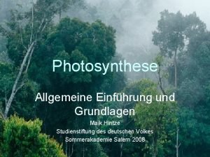 Photosynthese Allgemeine Einfhrung und Grundlagen Maik Hintze Studienstiftung