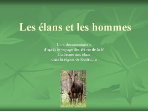 Les lans et les hommes Un documentaire daprs