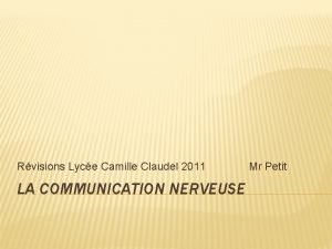 Rvisions Lyce Camille Claudel 2011 LA COMMUNICATION NERVEUSE