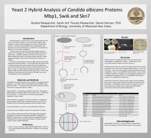 Yeast 2 Hybrid Analysis of Candida albicans Proteins