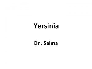 Yersinia Dr Salma Yersinia pestis Black death taxonomy