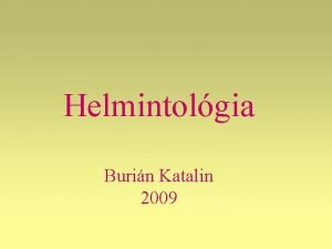 Helmintolgia Burin Katalin 2009 Osztlyozs Platyhelminthes laposfrgek Nemathelminthes