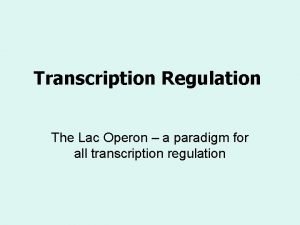 Transcription Regulation The Lac Operon a paradigm for