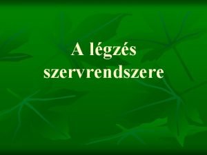 A lgzs szervrendszere A lgzrendszerepe Gzcsere n Hangads